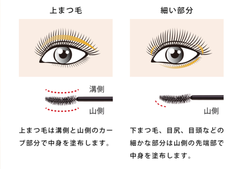 正しい使い方