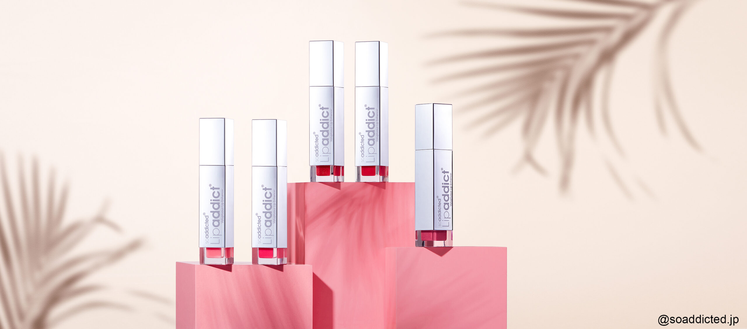 リップアディクトはどこで買える?